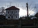 Třibřichy